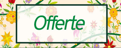 Offerte